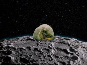 CBD Moon Rocks Leitfaden