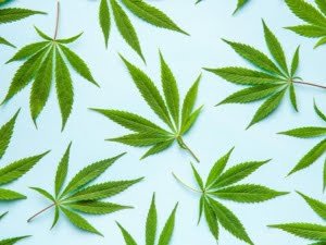 Unterschied zwischen H4CBD und HHC