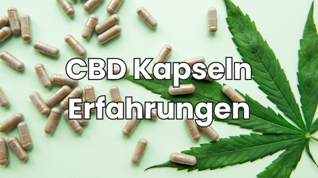CBD Kapseln Erfahrungen