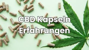 CBD Kapseln Erfahrungen