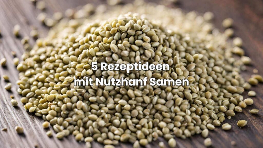5 Rezeptideen mit Nutzhanf Samen für mehr Power im Alltag