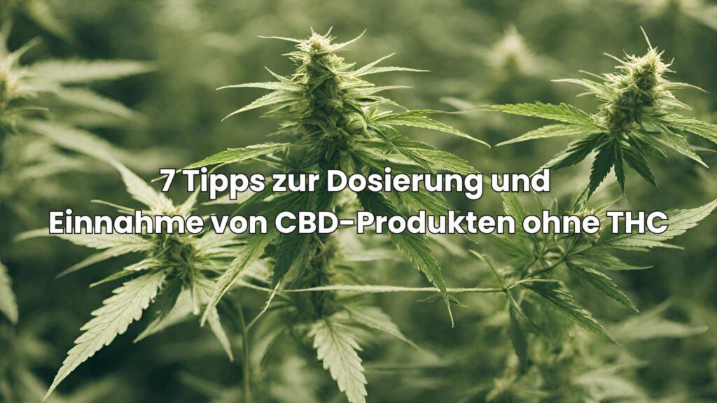 7 Tipps zur Dosierung und Einnahme von CBD-Produkten ohne THC