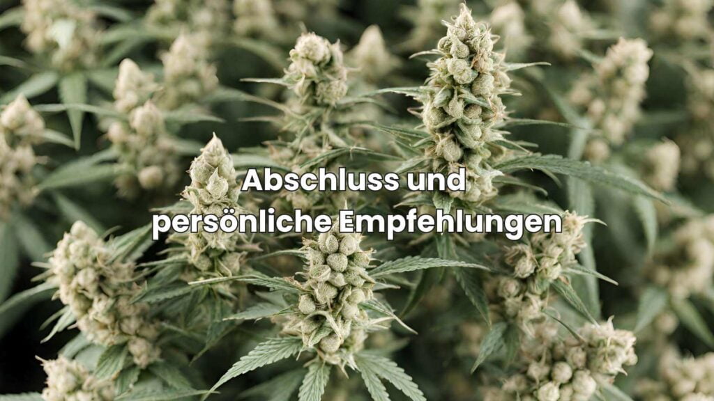 H4CBD Wunder - Abschluss und persönliche Erfahrungen