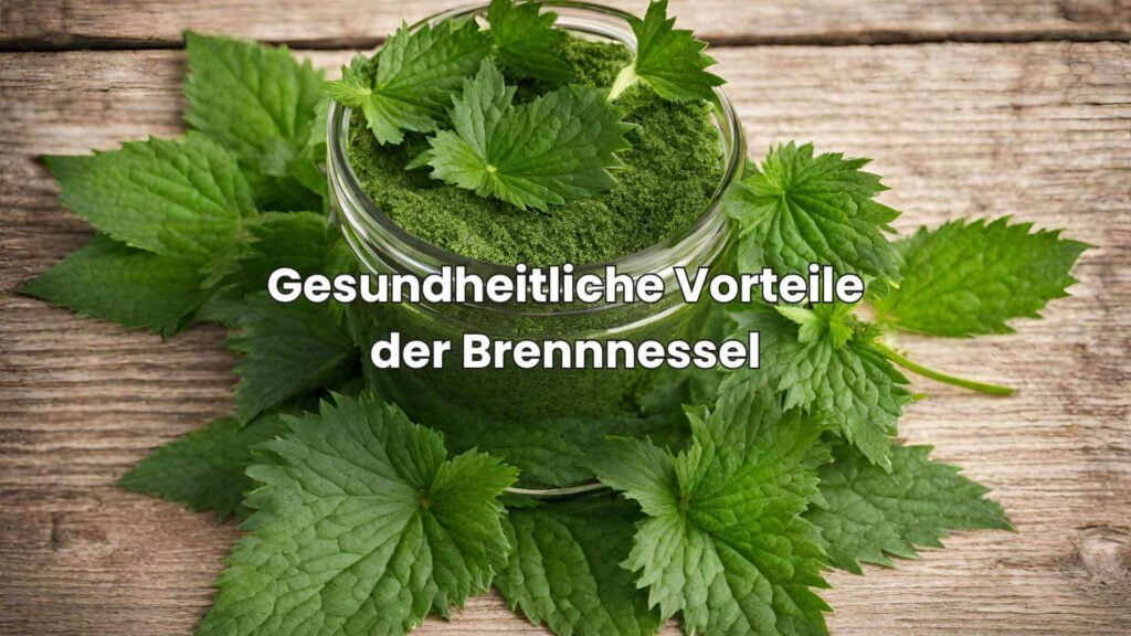 Ähnliche Pflanzen wie Brennnessel - Gesundheitliche Vorteile der Brennnessel