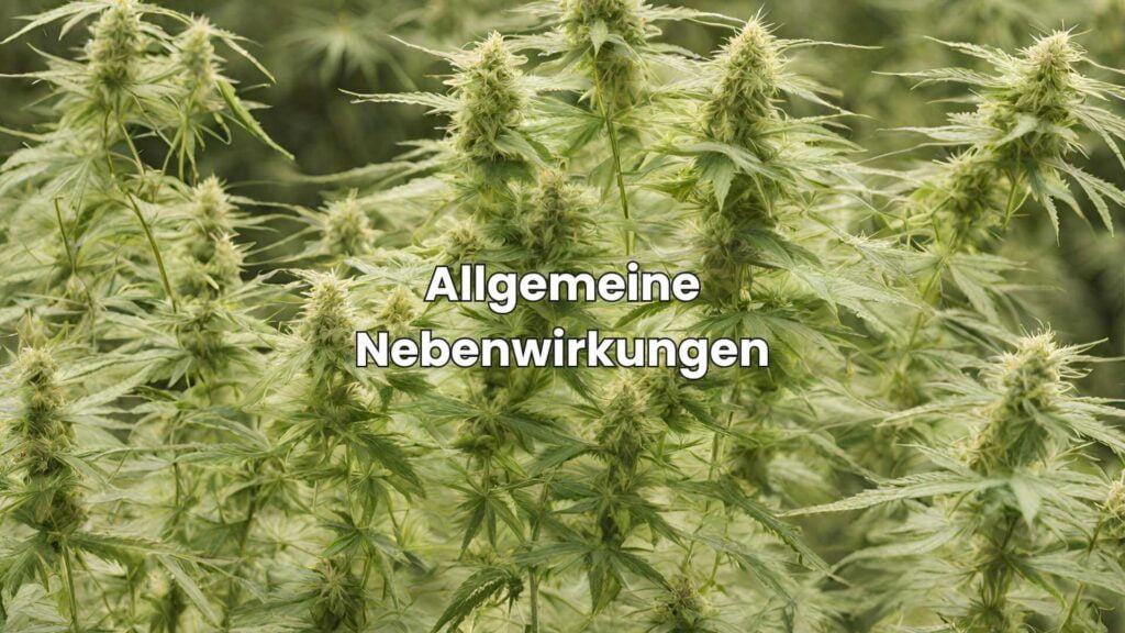 Allgemeine Nebenwirkungen von CBD