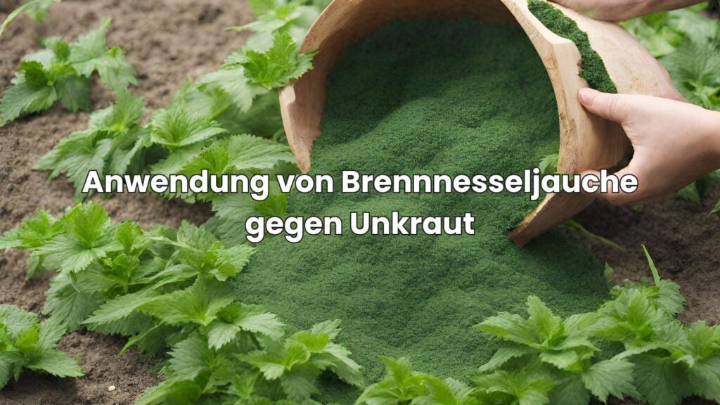 Anwendung von Brennnesseljauche gegen Unkraut