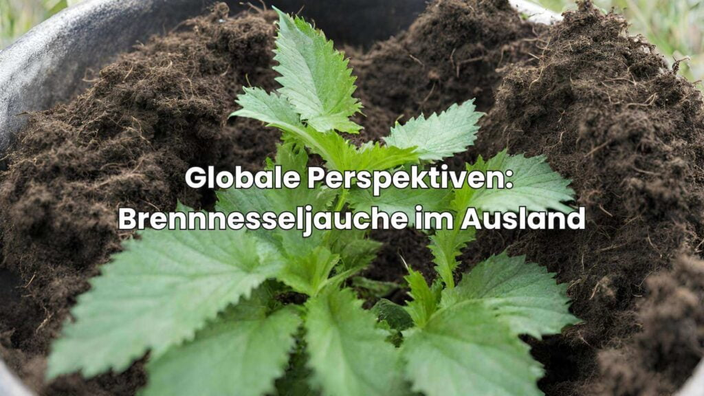 Brennnesseljauche als Dünger - Globale Perspektiven