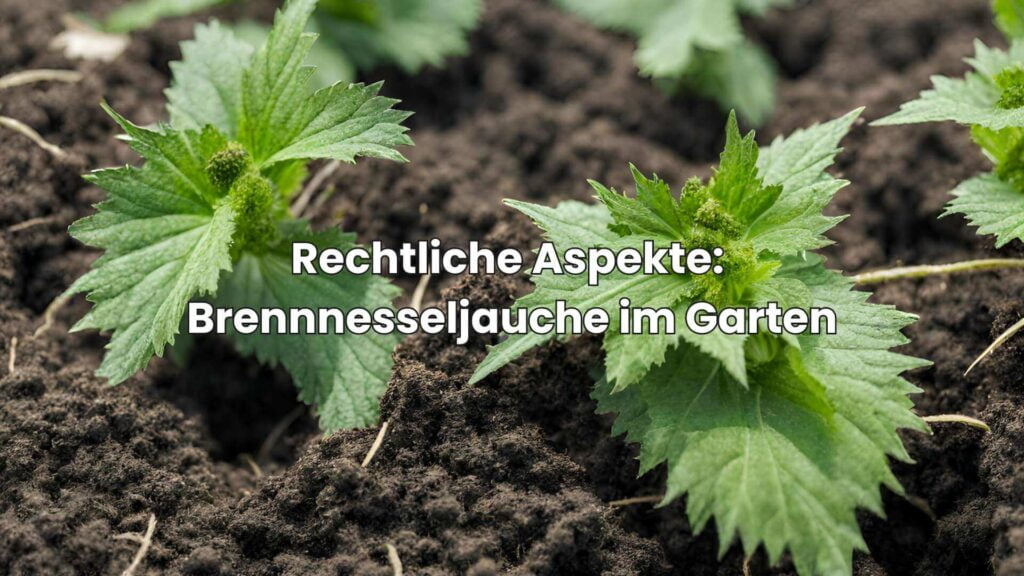 Brennnesseljauche als Dünger - Rechtliche Aspekte