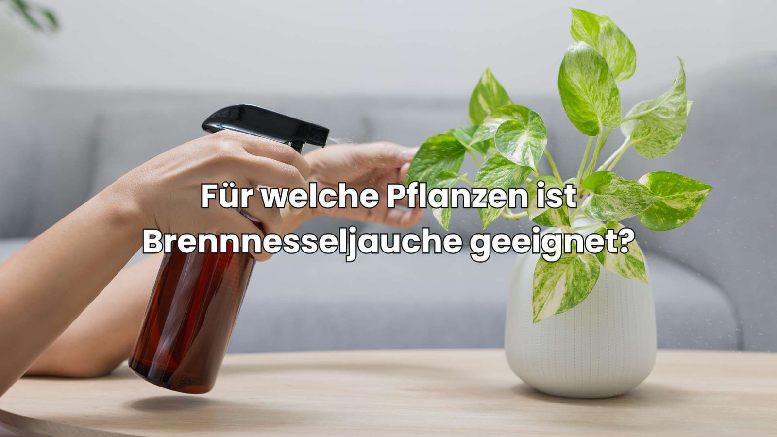 BrennnesseljaucheRatgeber So stellst du den Dünger einfach her