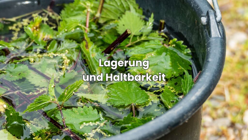 Brennnesseljauche herstellen - Lagerung und Haltbarkeit