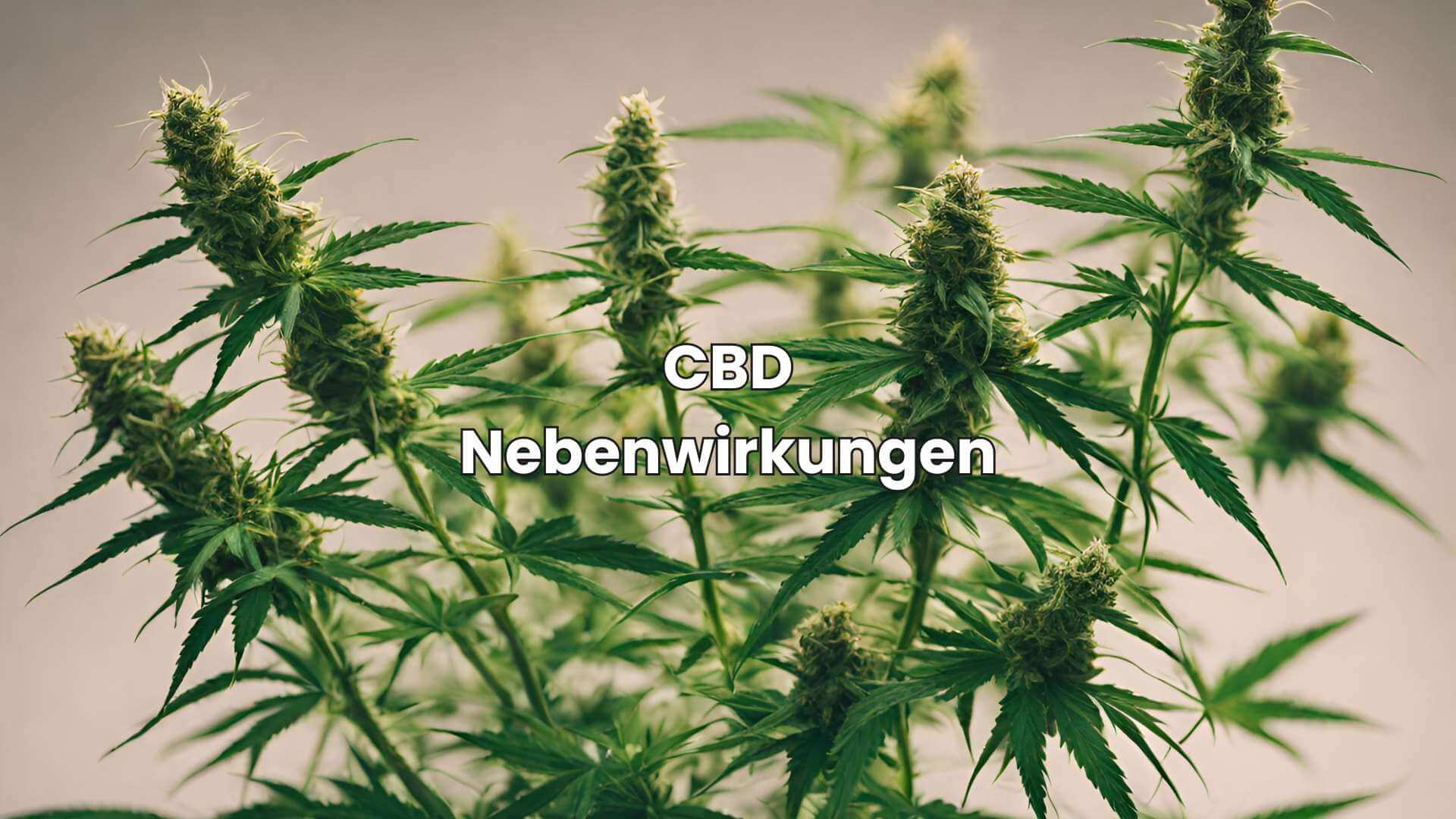 CBD Nebenwirkungen: Was du unbedingt wissen solltest