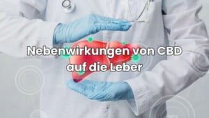 CBD Nebenwirkungen auf die Leber