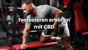 CBD und Testosteron