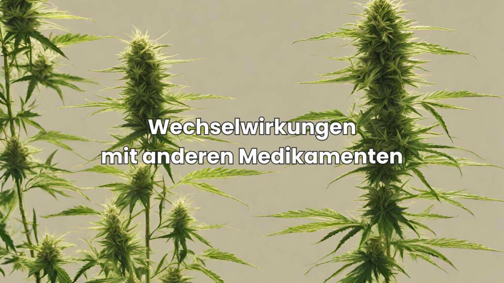 CBD und Wechselwirkungen mit anderen Medikamenten