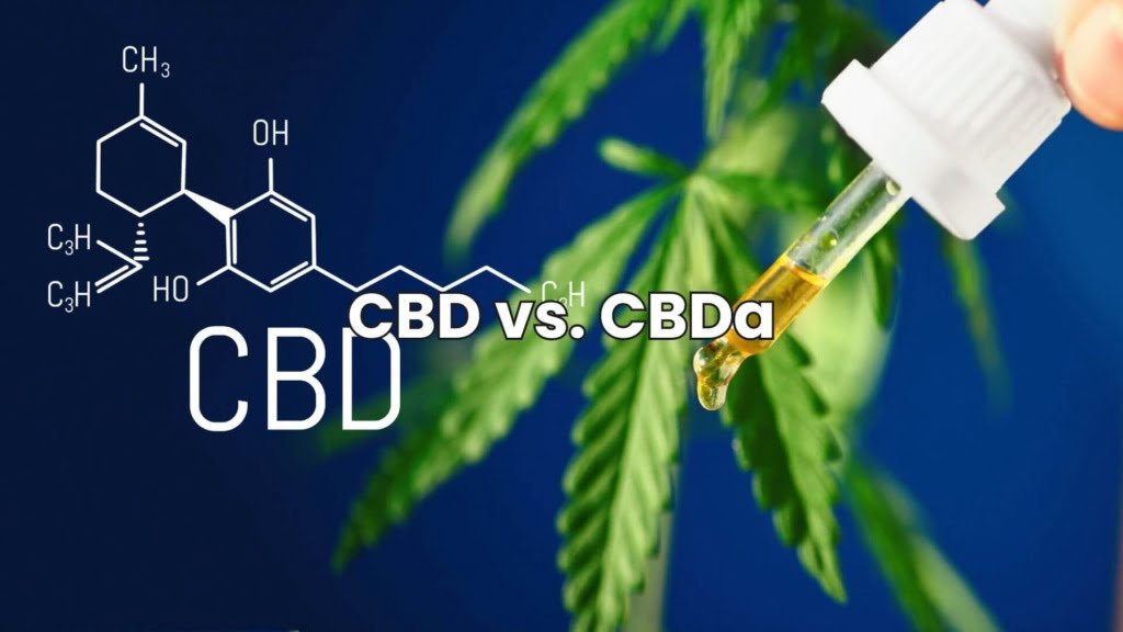 CBD vs. CBDa