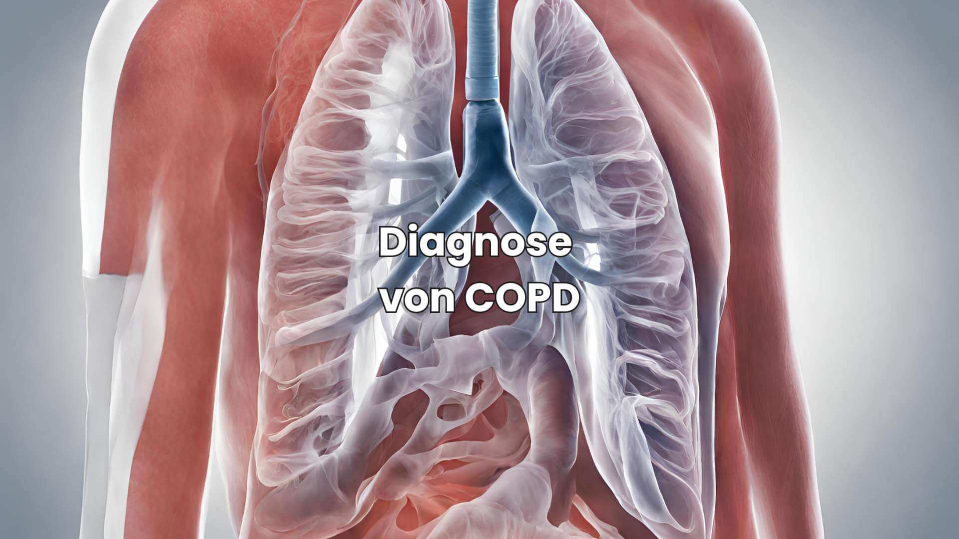 Warum Kein Kortison Bei Copd www.derheilkrauthase.com
