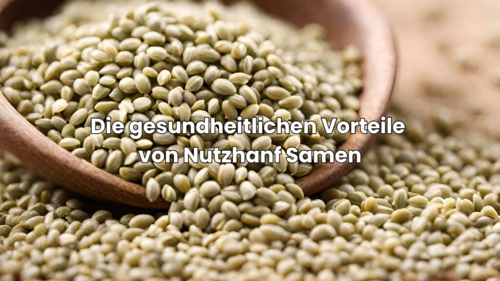 Die gesundheitlichen Vorteile von Nutzhanf Samen