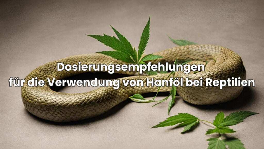 Dosierungsempfehlungen für die Verwendung von Hanföl bei Reptilien