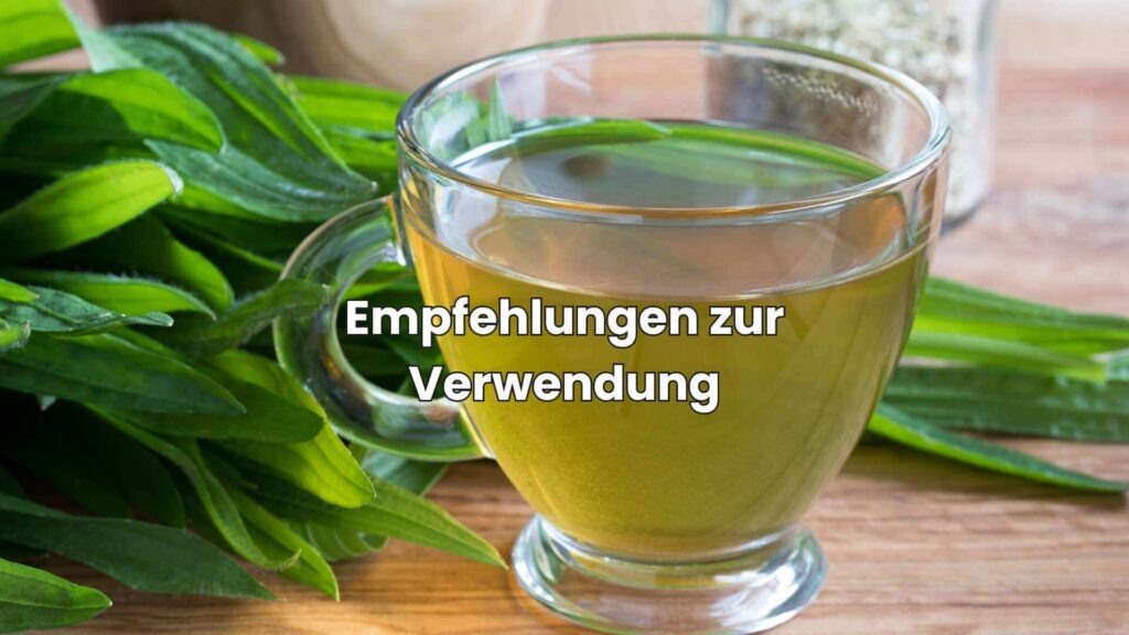 Empfehlungen und Ratschläge zur Verwendung der Brennnessel-ähnlichen Pflanzen