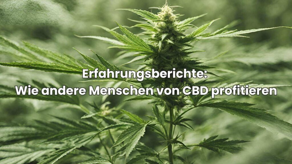 Erfahrungsberichte - Wie andere Menschen von CBD ohne THC profitieren