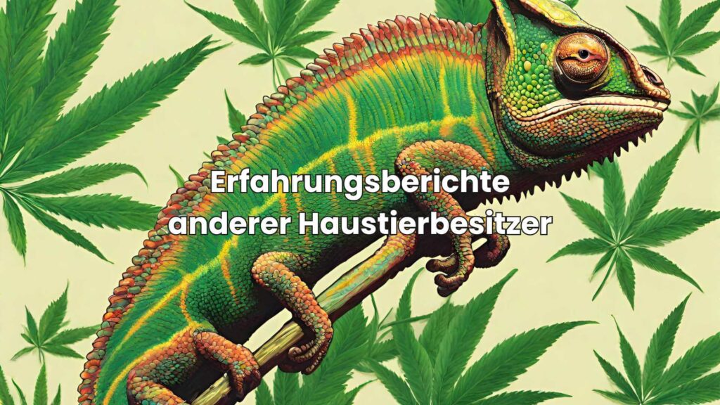 Erfahrungsberichte anderer Haustierbesitzer, die Hanföl zur Stärkung des Immunsystems ihrer Reptilien verwendet haben