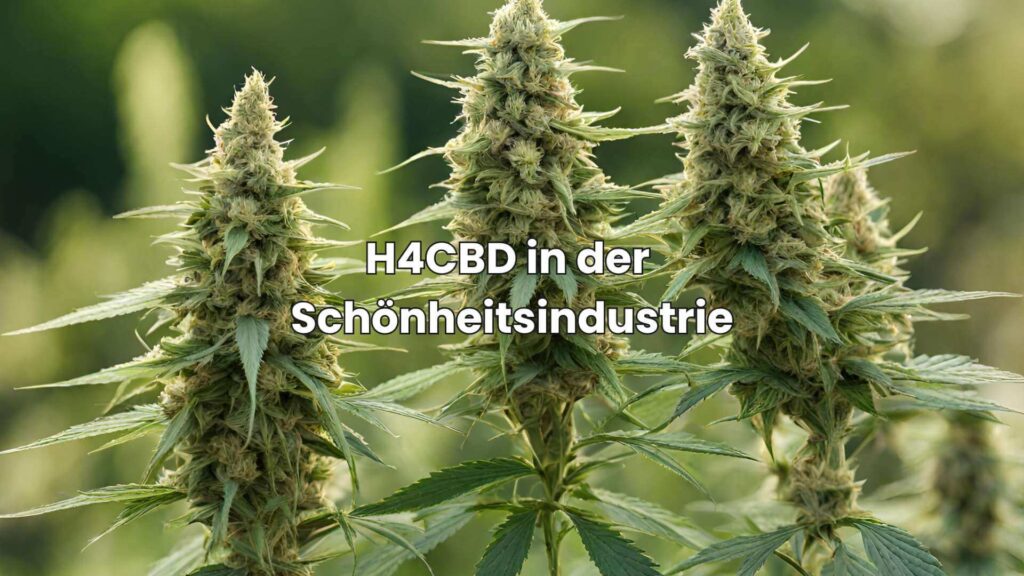 H4CBD in der Schönheitsindustrie