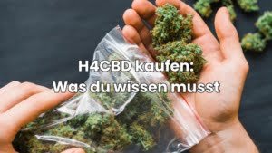 H4CBD kaufen