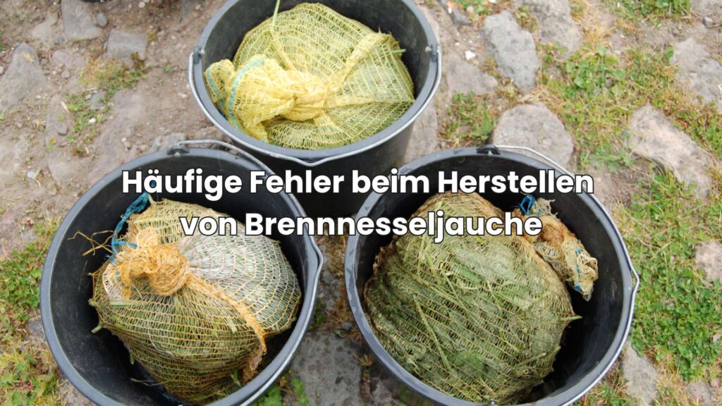 Häufige Fehler beim Herstellen von Brennnesseljauche vermeiden