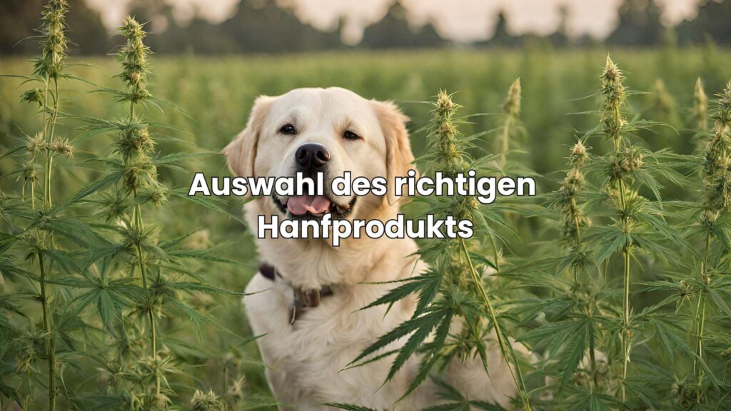 Hanf für Haustiere - Auswahl des richtigen Hanfprodukts