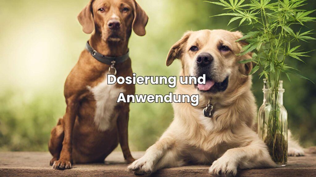 Hanf für Haustiere - Dosierung und Anwendung