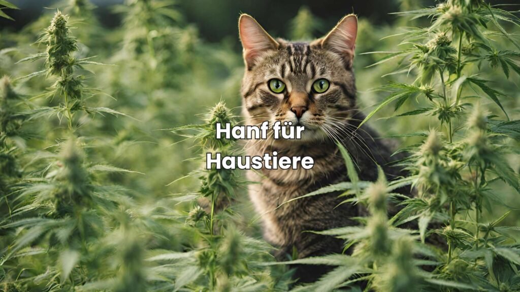 Hanf für Haustiere - Natürlicher Ansatz für Tiergesundheit