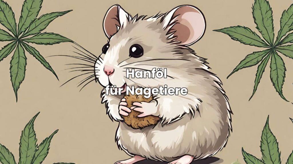 Hanföl für Nagetiere - Die Vorteile für deine kleine Fellnase