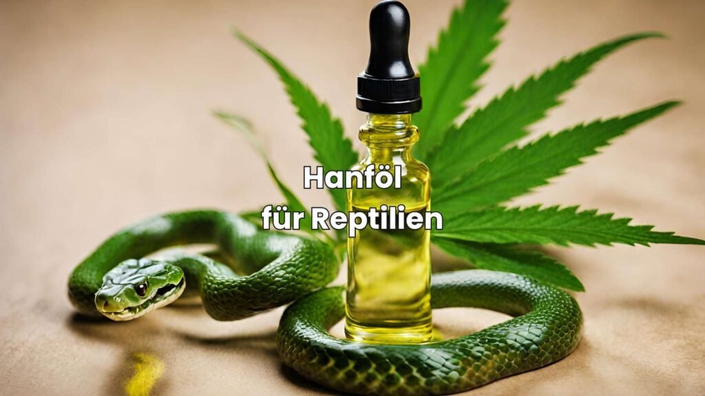 Hanföl für Reptilien - Natürliche Pflege & gesunde Ernährung