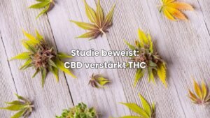 Kann CBD die Wirkung von THC verstärken?