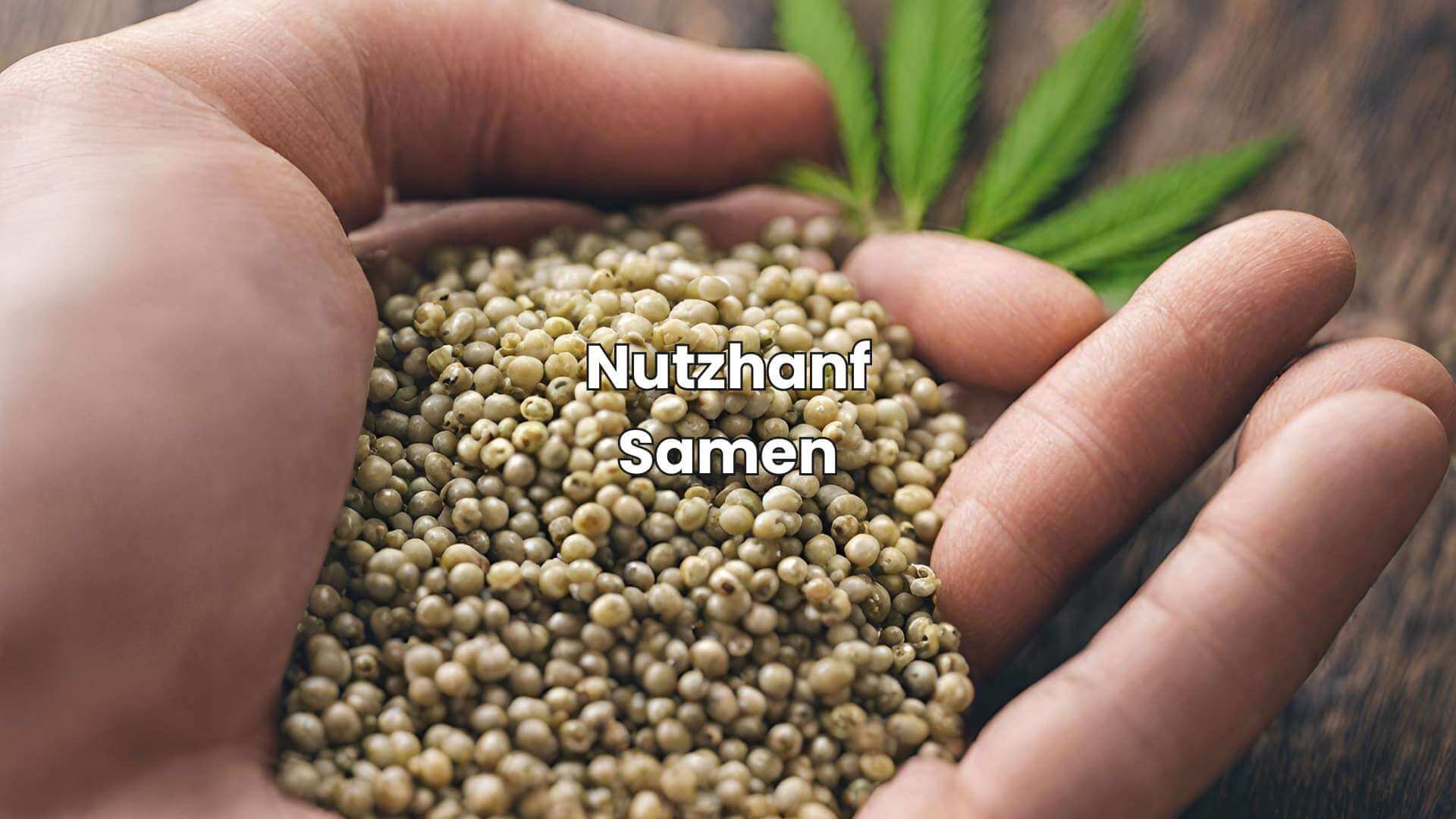 Nutzhanf Samen: Superfood mit großer Wirkung