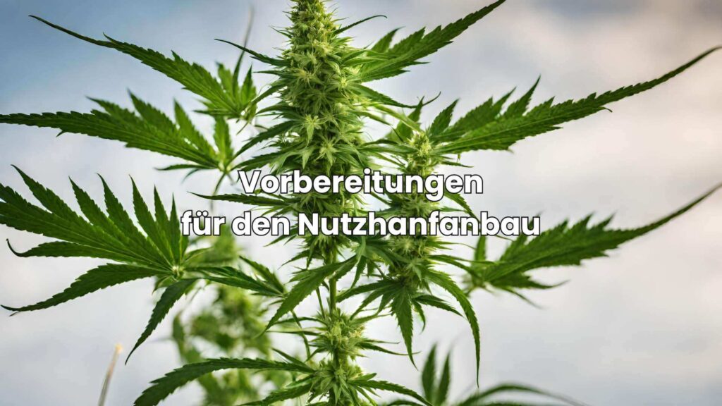 Nutzhanf anbauen - Vorbereitung des Bodens und der Pflanzgefäße