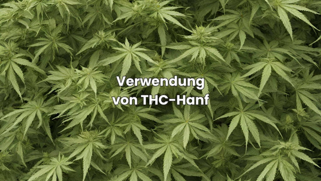 Nutzhanf vs. THC-Hanf - Verwendung von THC-Hanf