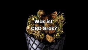 Premium CBD Gras kaufen
