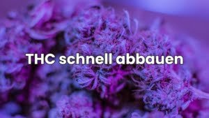THC Abbau Produkte