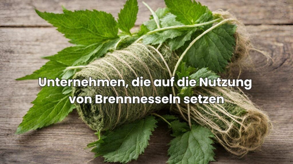 Unternehmen, die auf die Nutzung von Brennnesseln setzen