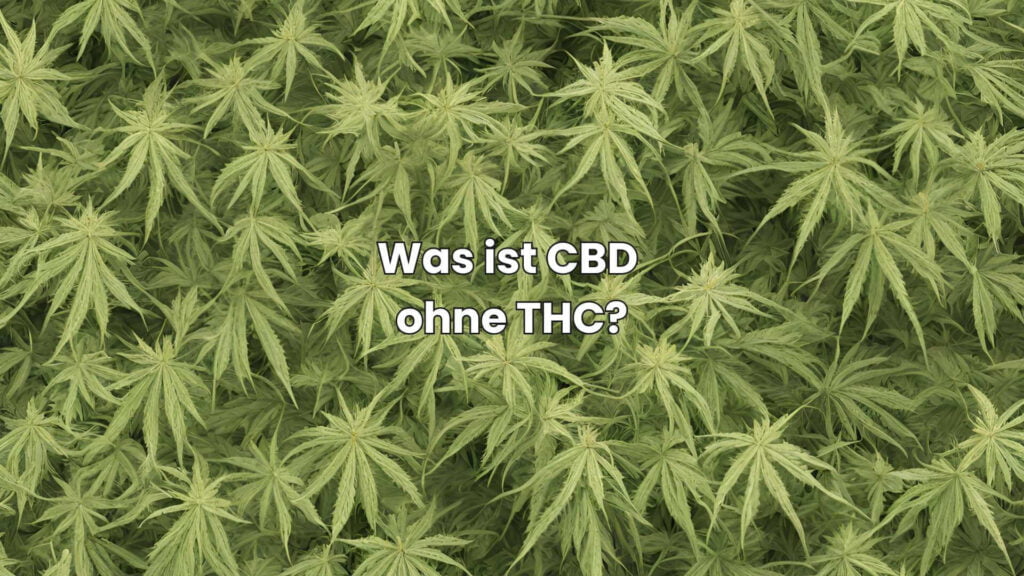 Was ist CBD ohne THC