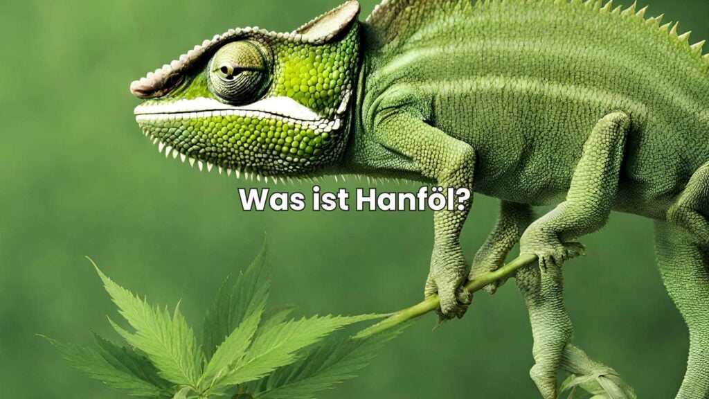 Was ist Hanföl und wie kann es das Immunsystem deines Reptils unterstützen