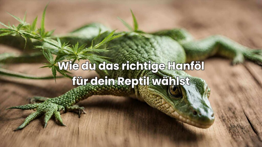 Wie du das richtige Hanföl für dein Reptil auswählst