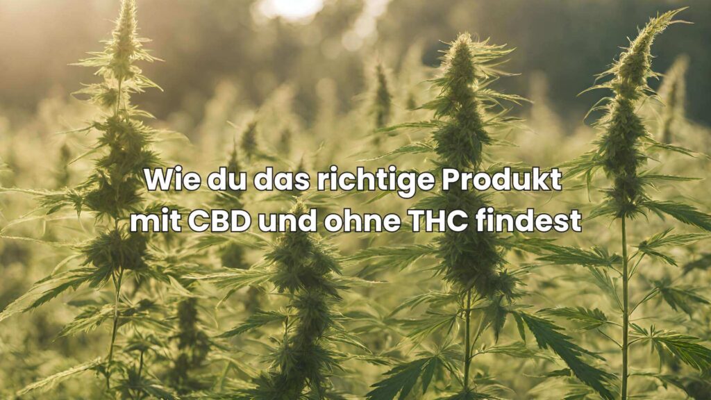 Wie du das richtige Produkt mit CBD und ohne THC findest