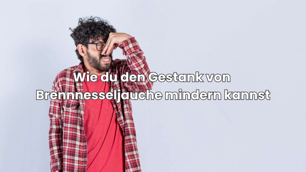 Wie du den Gestank von Brennnesseljauche mindern kannst