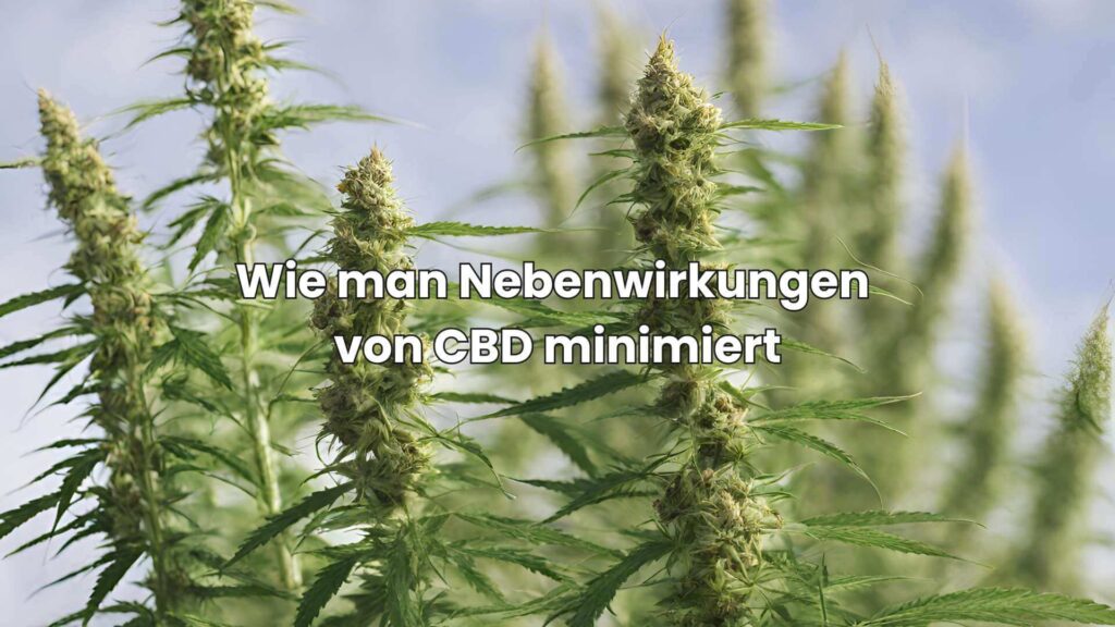 Wie man Nebenwirkungen von CBD minimiert