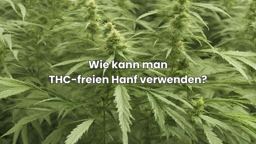 Wie man THC-freien Hanf verwenden kann, um mehr Entspannung zu erreichen