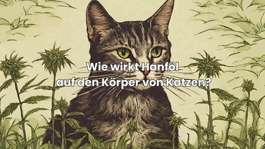 Wie wirkt Hanföl auf den Körper von Katzen?