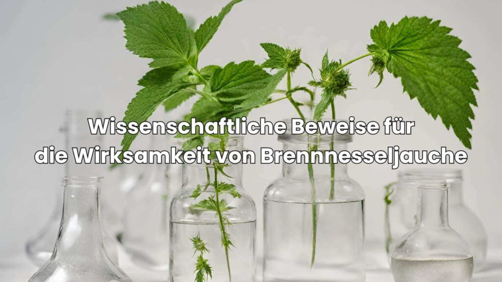 Wissenschaftliche Beweise für die Wirksamkeit von Brennnesseljauche gegen Unkraut