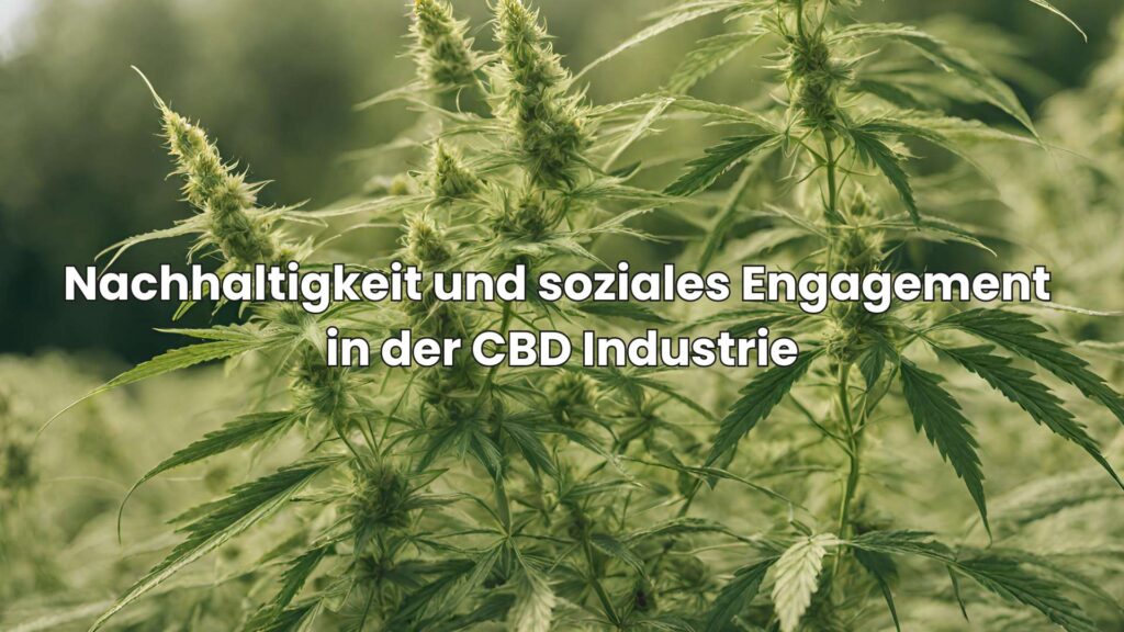 CBD Messen - Nachhaltigkeit und soziales Engagement in der CBD Industrie